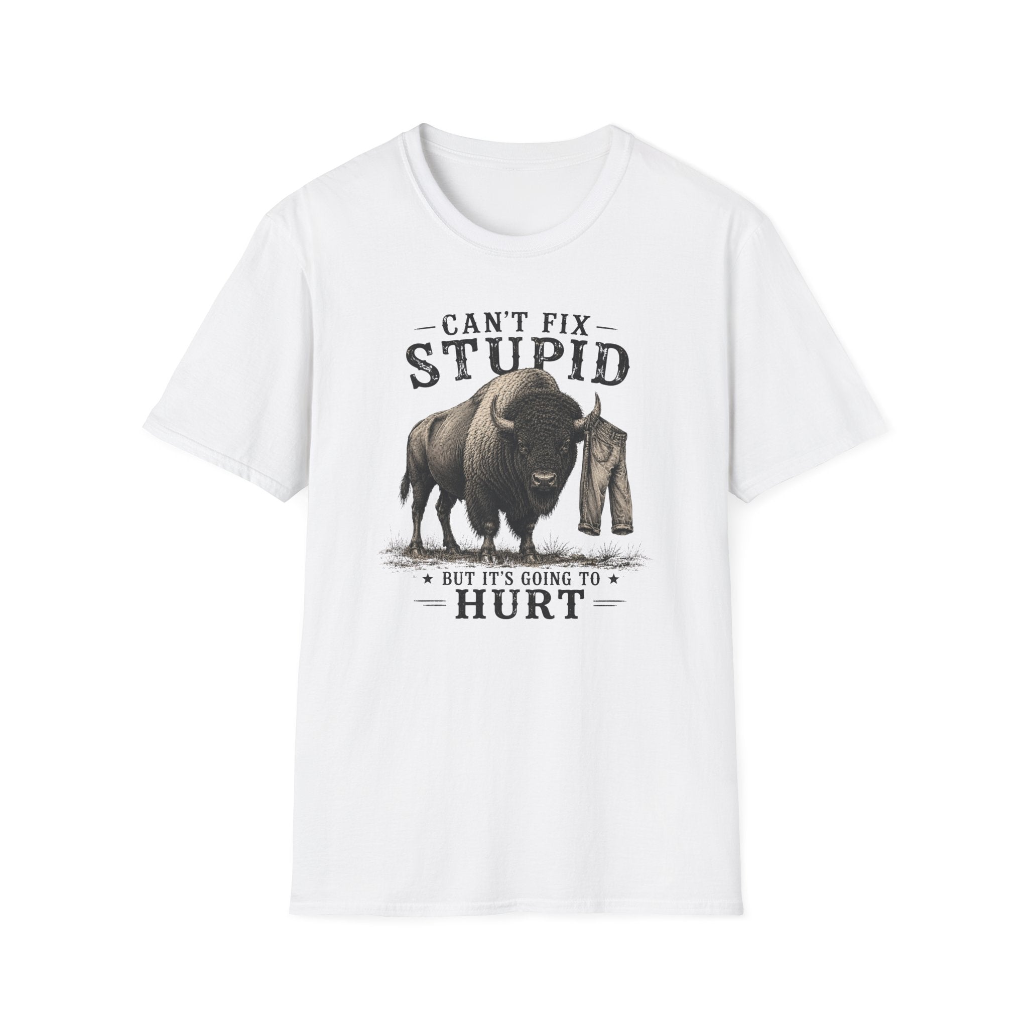 Can’t Fix Stupid T-Shirt